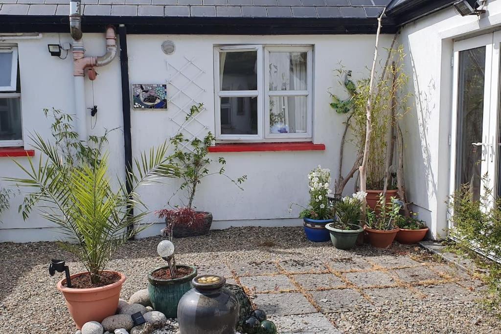 Cosy Self Contained Cottage With Stunning Views Killaloe Exteriér fotografie